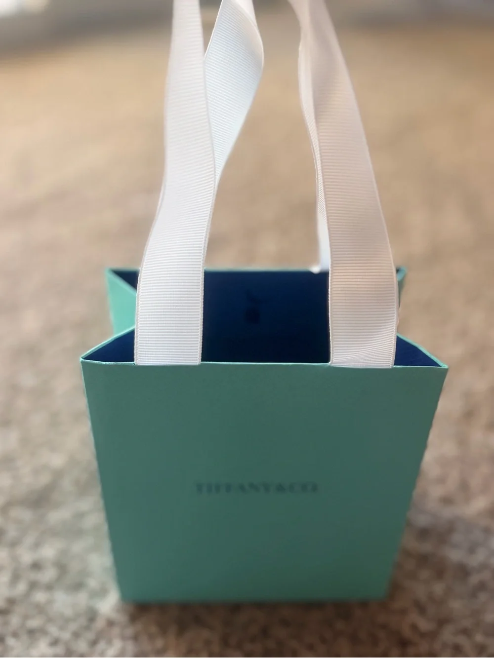 Authentic Tiffany & Co. Robin's-Egg Blue Gift Bag with White Ribbon Handles
